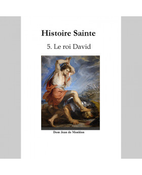Histoire Sainte de Dom...