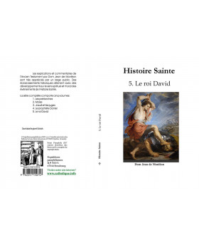 Histoire Sainte de Dom Monléon — TOME 5 — Le roi David